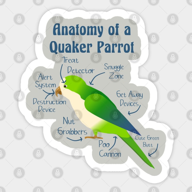 Anatomy of Quaker Parrot Monk Parakeet Sticker by Einstein Parrot